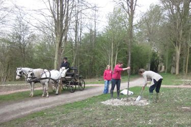 Bridgeman rond-point restored in Tring Park