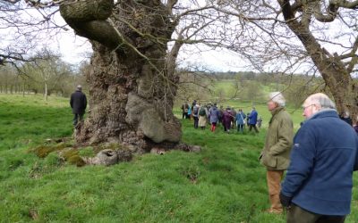 Woodhall Park Study Day