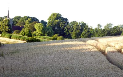 Village 7 Gilston Garden Village