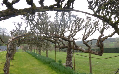 Research Planning Meeting at HALS, Hertford                                     Tuesday August 13th 2024 10.00 am to 1.00 pm