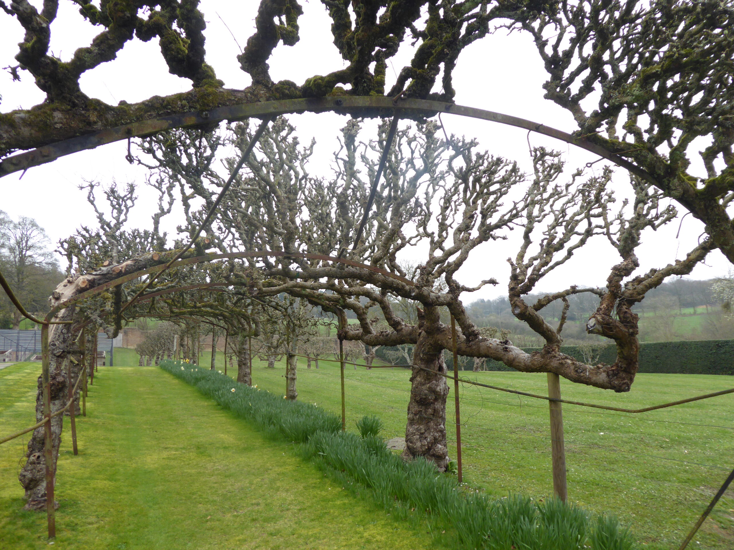 Amersfort, Berkhamsted